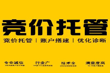 竞价推广开户成功案例分享与启示